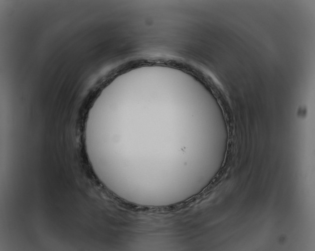 X0000102481016200808081028