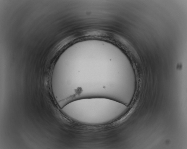 X0000102481017200808081028