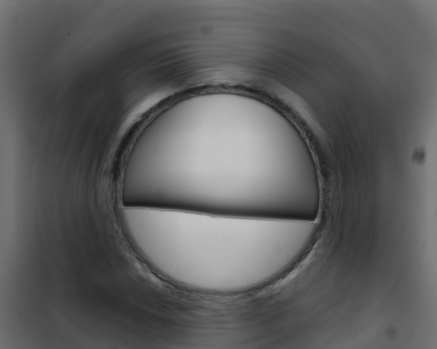 X0000102481018200808081028