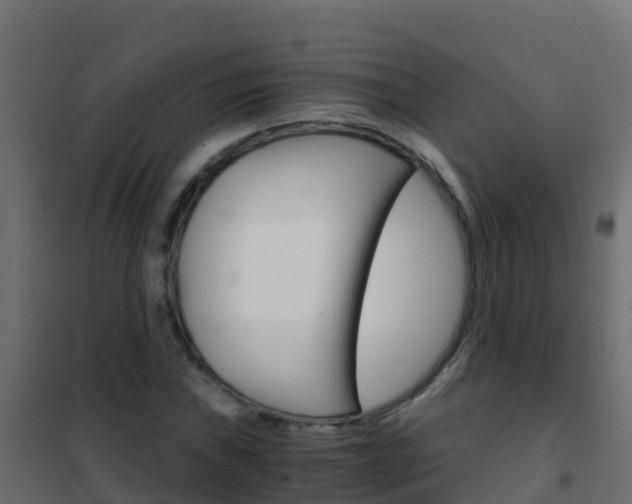 X0000102481019200808081028