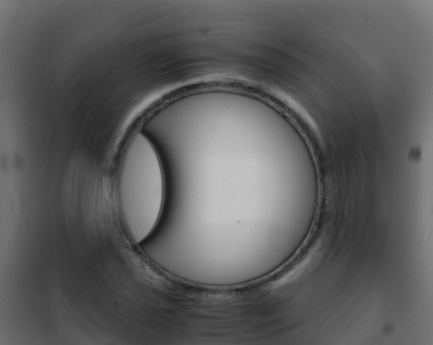 X0000102481021200808081028