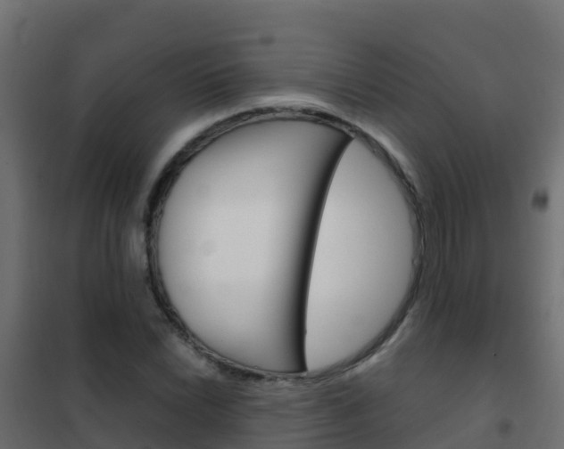 X0000102481022200808081028