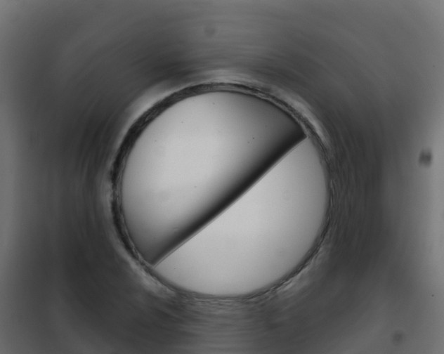 X0000102481024200808081028