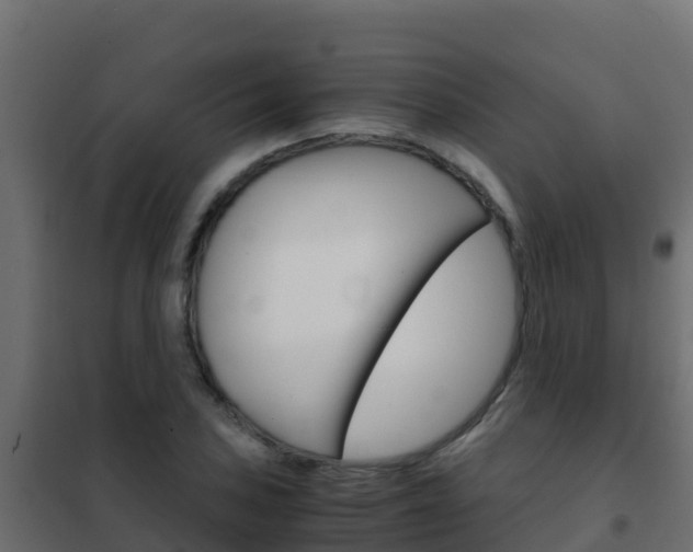 X0000102481027200808081028