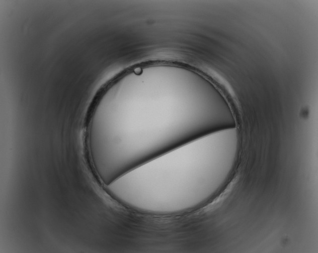 X0000102481029200808081028
