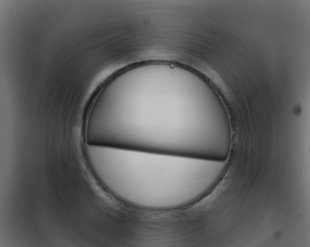 X0000102481030200808081028