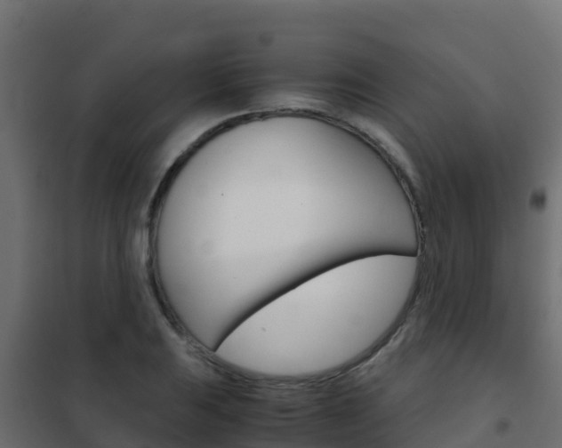 X0000102481031200808081028