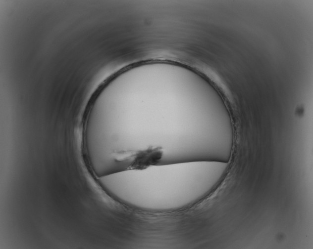 X0000102481032200808081028