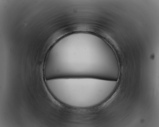 X0000102481033200808081028