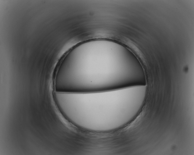 X0000102481034200808081028