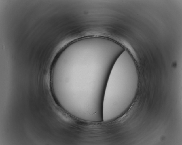 X0000102481035200808081028