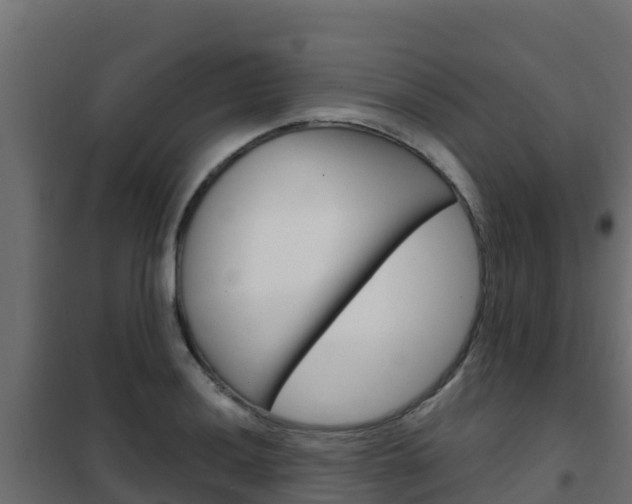 X0000102481036200808081028