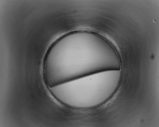 X0000102481037200808081028