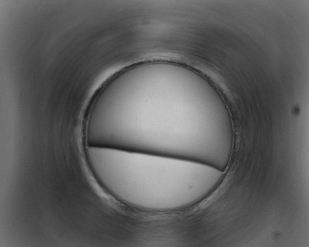 X0000102481038200808081028
