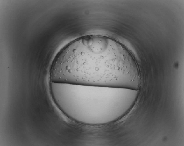 X0000102481040200808081028