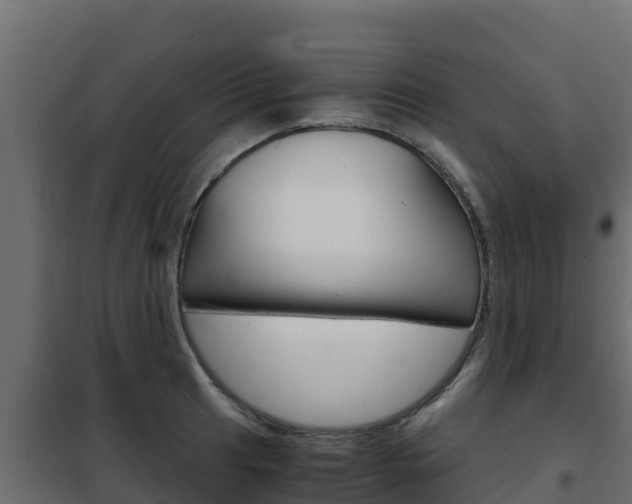 X0000102481041200808081028