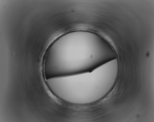 X0000102481042200808081028