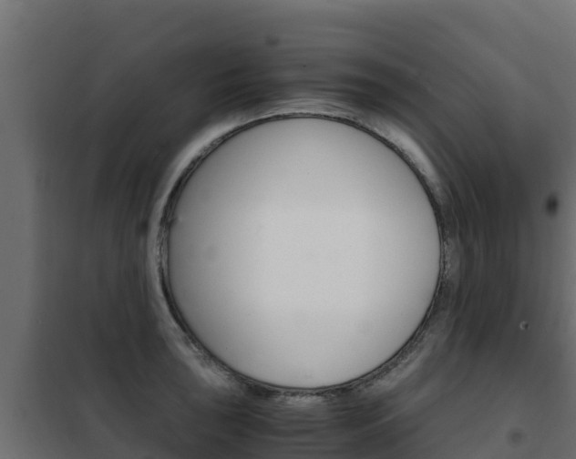 X0000102481043200808081028