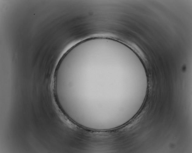 X0000102481044200808081028