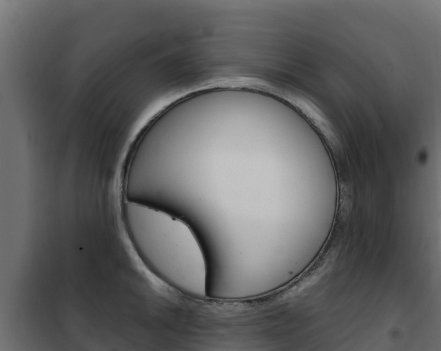 X0000102481046200808081028