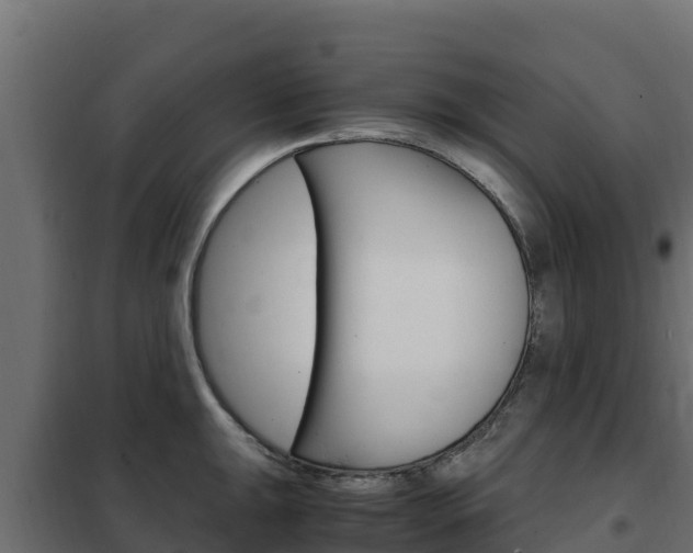 X0000102481047200808081028