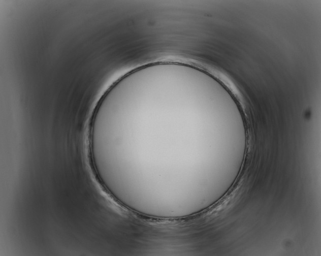 X0000102481048200808081028