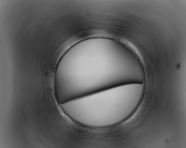 X0000102481049200808081028
