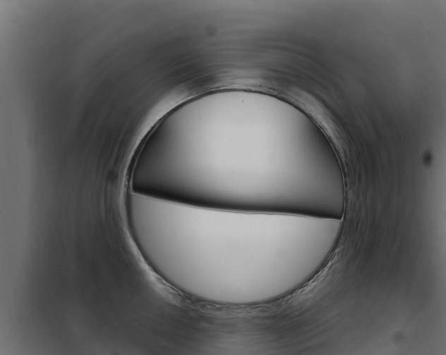 X0000102481050200808081028