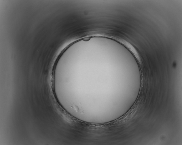 X0000102481051200808081028