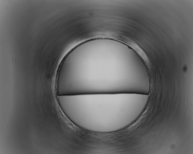 X0000102481052200808081028