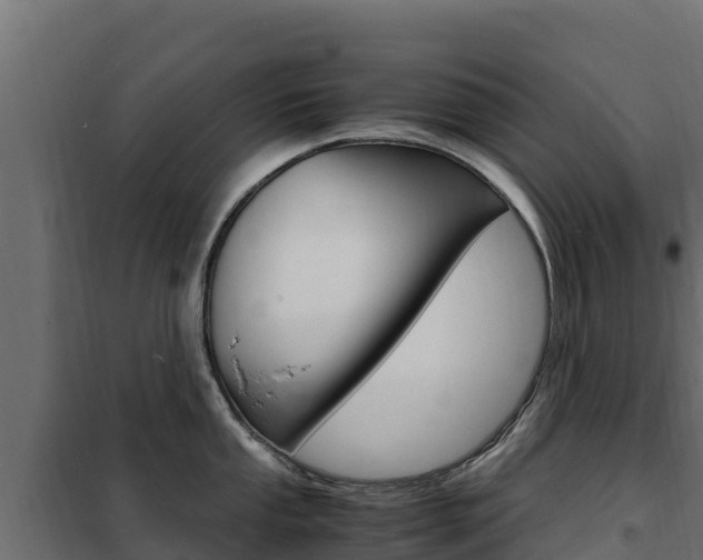 X0000102481053200808081028