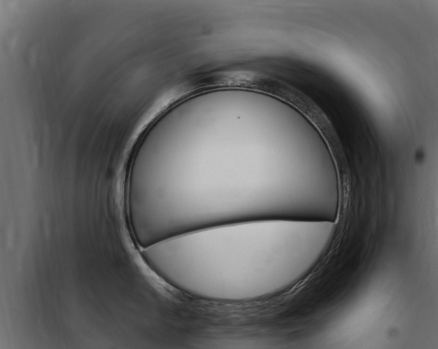 X0000102481054200808081028