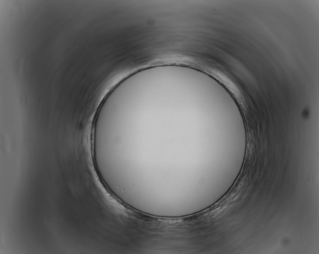 X0000102481055200808081028