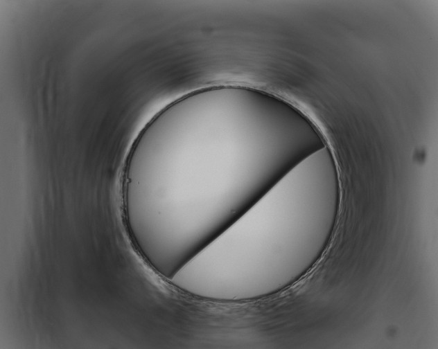 X0000102481056200808081028