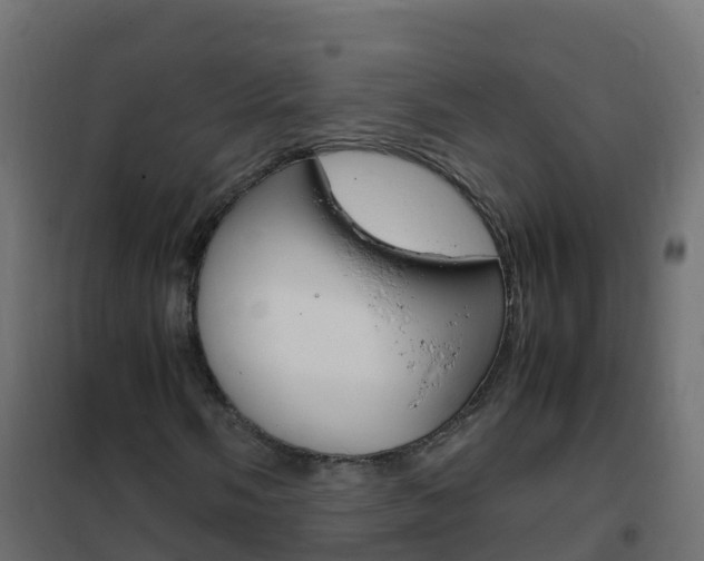 X0000102481058200808081027