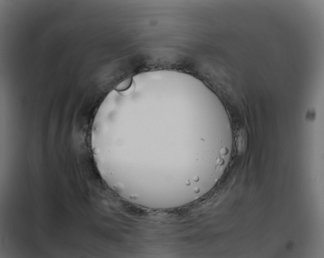 X0000102481059200808081027