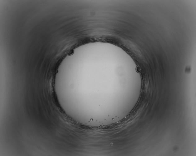 X0000102481060200808081027