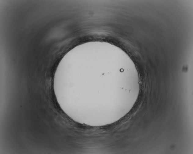 X0000102481061200808081027