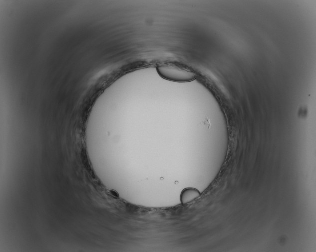 X0000102481063200808081027