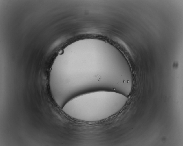 X0000102481064200808081027