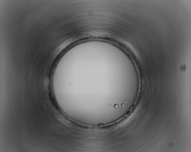 X0000102481065200808081027