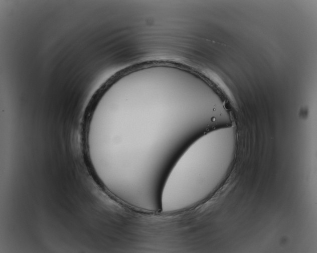 X0000102481068200808081027