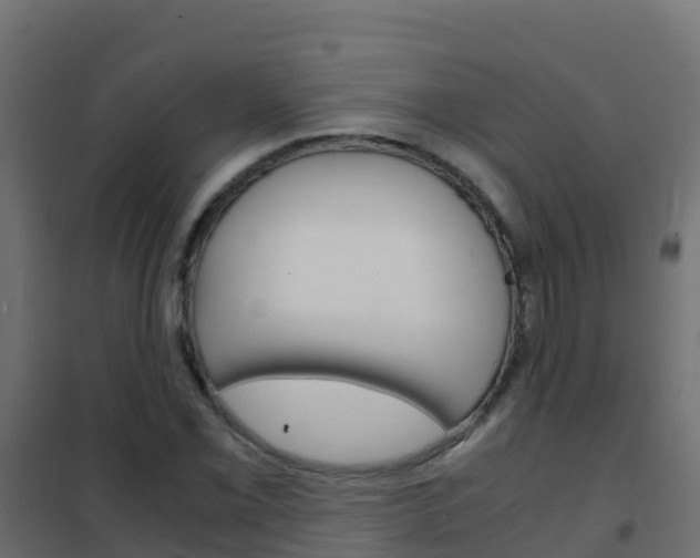 X0000102481069200808081027