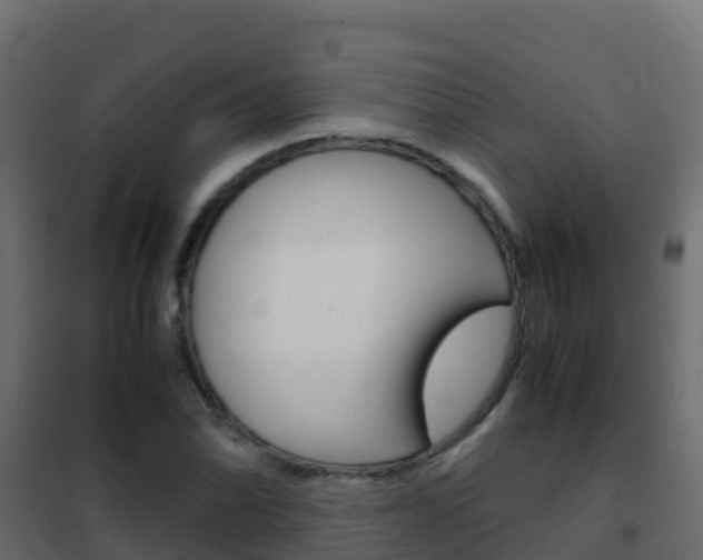 X0000102481070200808081027