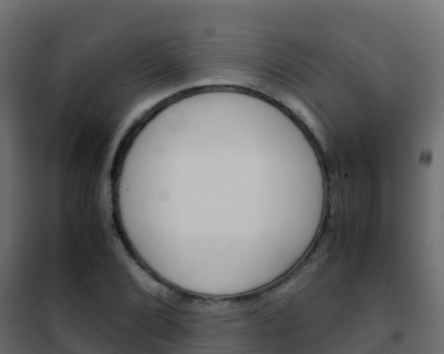 X0000102481072200808081027