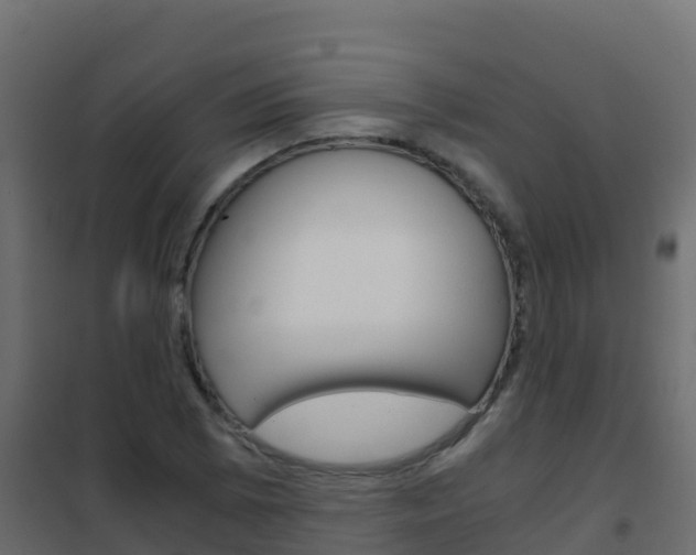 X0000102481073200808081027