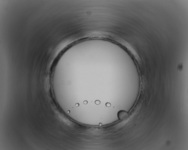 X0000102481075200808081027