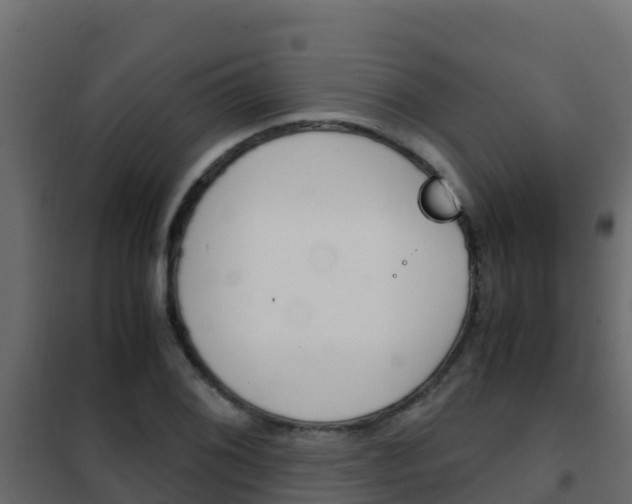 X0000102481076200808081027
