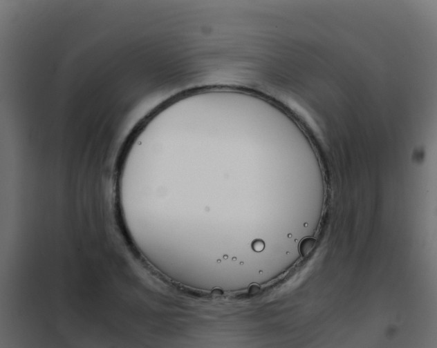 X0000102481077200808081027