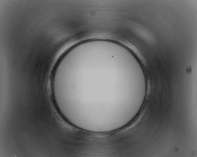 X0000102481078200808081027